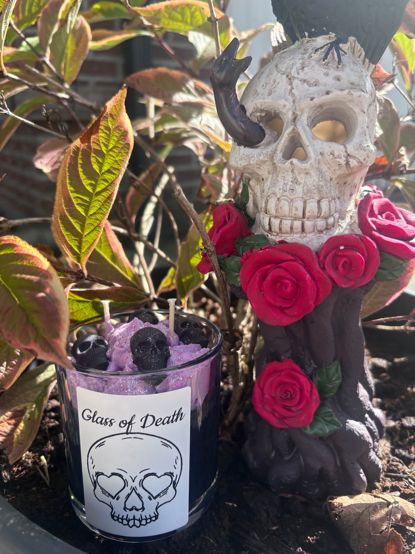 Glass Of Death 💀